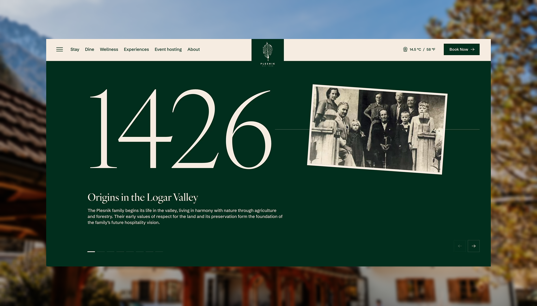 Plesnik referenčna slika 7